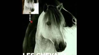 Hugues Aufray - Le petit âne gris