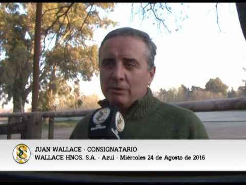 24-08-16 - JUAN WALLACE - CONSIGNATARIO