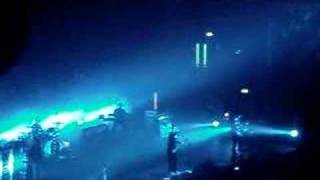 Snow Patrol Grazed Knees
