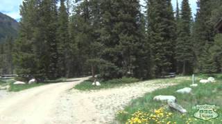 preview picture of video 'CampgroundViews.com - Fox Creek Campground Cody Wyoming (Cooke City Montana) Forest Service'