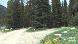 Fox Creek Campground Video