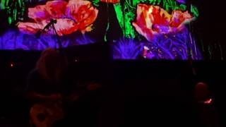 Dinosaur Jr. - Love is.., live at Paradiso Amsterdam 2017, 14 June 2017