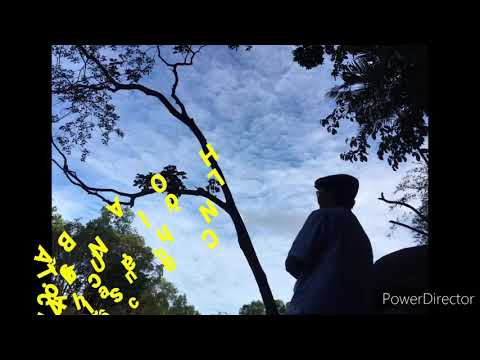 Hoa bất tử Sheet - Mai Trâm