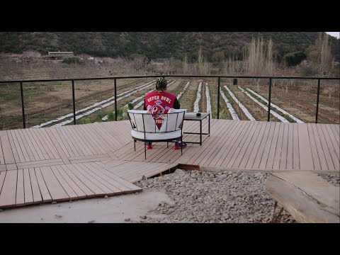 Negro Boris - TU MIRADA (Video Oficial)