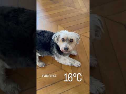 Как вам мой лук ?