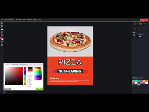 Designopro review in detail
