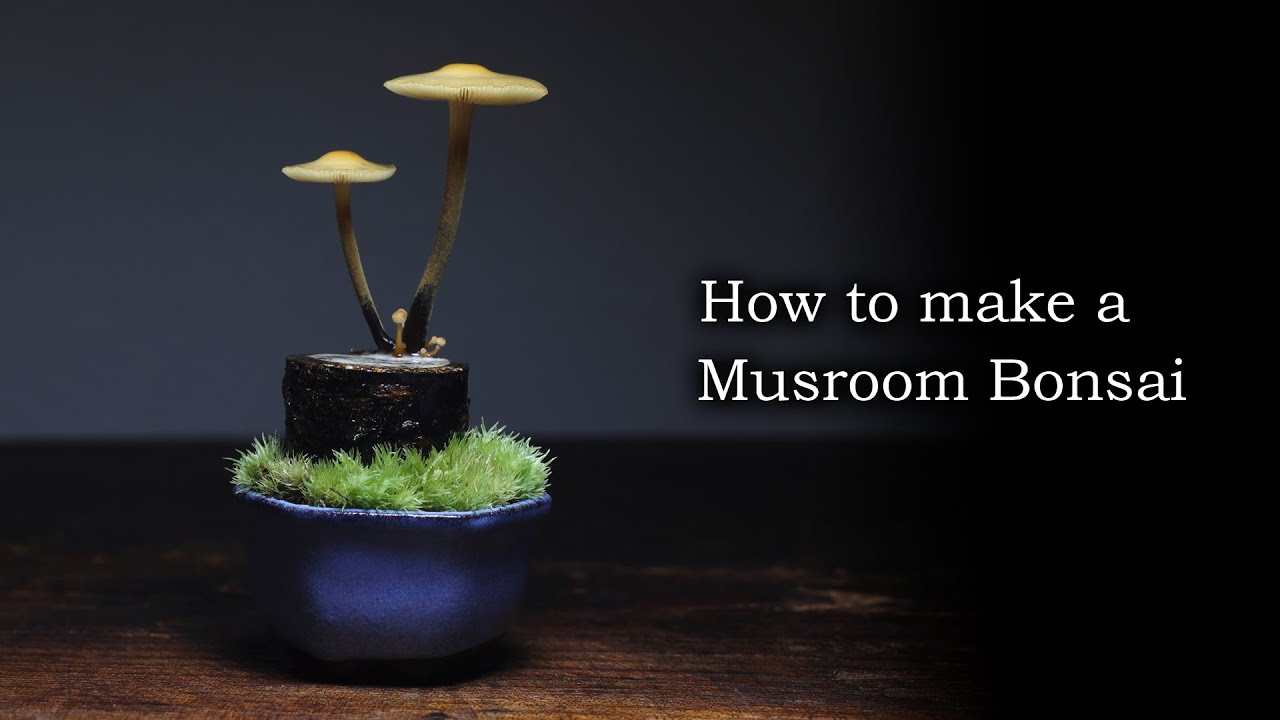 How to make a Mushroom Bonsai[Mini]