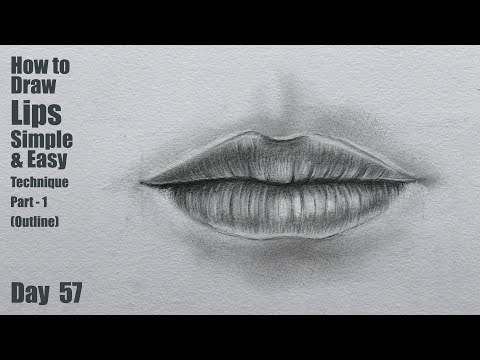 Drawing for Beginners Step by Step | Day 011 Part 1 | Basic Pencil Shading Technique Part 1