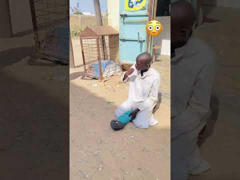 Wouy li abonné vite 😂