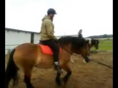 Auf dem Rücken der Pferde