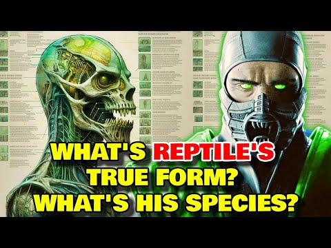 Reptile Anatomy Explored - How Many Forms Can Reptile Take? What's His Native Species?