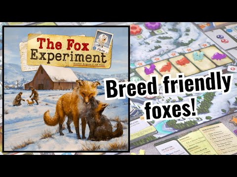 How to play the fox experiment!