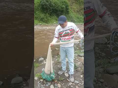 pesca de truchas río Chimbo-provincia Bolivar