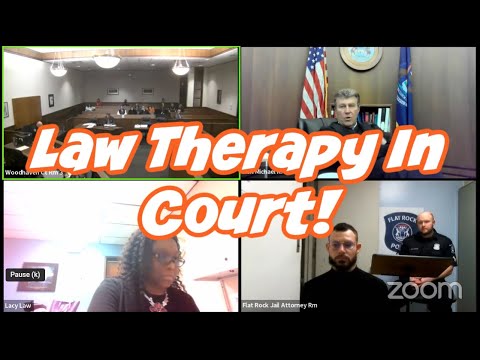 Wild Court Moments #298 Law Therapy