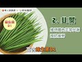代謝力差害肥胖、糖尿病，揪出7大警訊！鄭師嘉營養師：這3種食物加速代謝