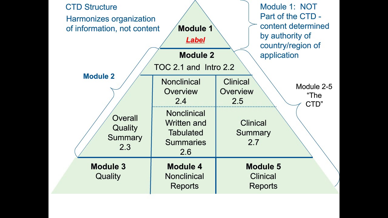 Understanding New Drug Applications (NDAs)