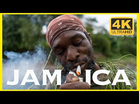 48 WILD Hours w/ JAMAICA's RASTAs & Maroons 🇯🇲 4K