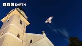 Photographing the Incredible Wildlife of our Planet | The Travel Edit