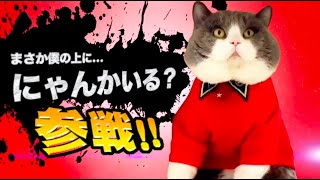 イルルカsp 58 しん りゅうおう入手 一連の配合の流れ ドラクエモンスターズ2 イルとルカの不思議なカギsp 実況 Part58 メイルス スマホ版 موقع ويب حيث يمكنك مشاهدة مقاطع فيديو موسيقية مجانية