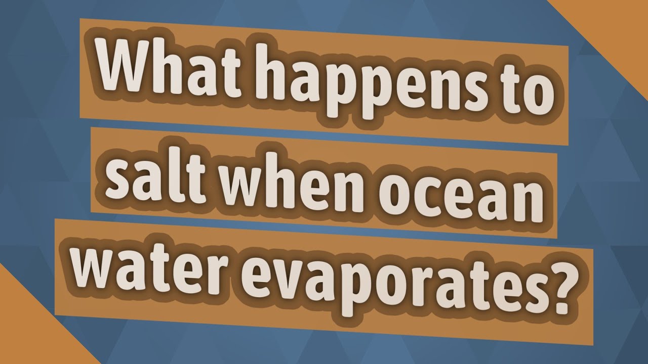 Why does salt get left behind when water evaporates? More REF