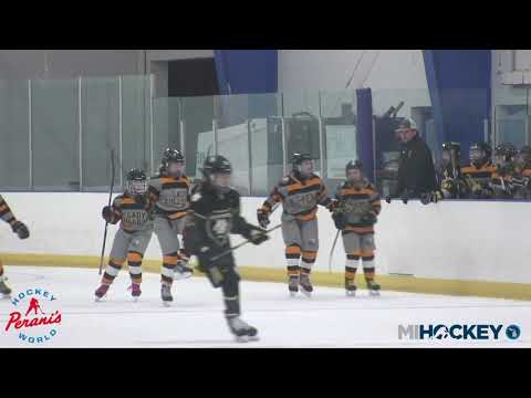 2020 MAHA Girls 10U Tier 2 State Championship - HB Hockey vs. Eastside Lady Bulldogs
