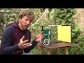 Slimme insectencamera: ‘De buurvrouw vroeg wat voor ufo in tuin was neergedaald’