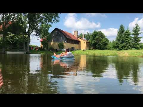 Upalny dzień w Elganowie nad zarybionym stawem