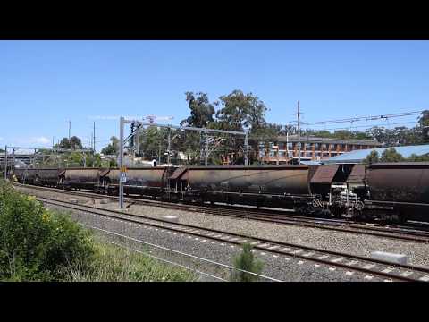 Five 82 class lead PN MC98 loaded coalie - 3/11/18