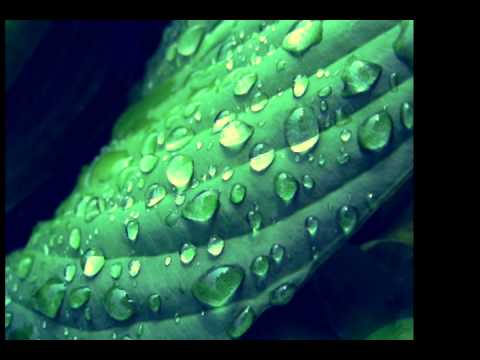 WASH MY WORLD ~ Laurent Wolf.wmv