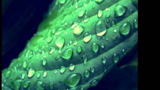 WASH MY WORLD ~ Laurent Wolf.wmv