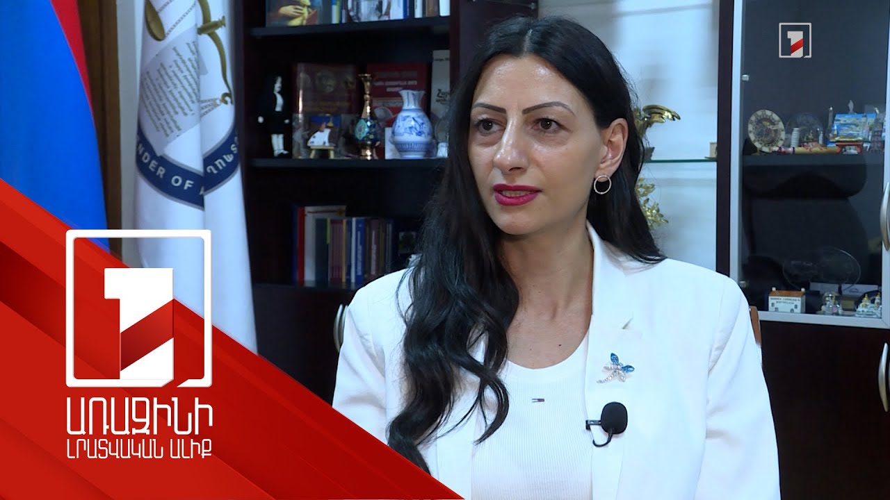 Պաշտպանի նկատմամբ հետապնդումները Հայաստանում պետական մարմինների կողմից չեն. ՄԻՊ