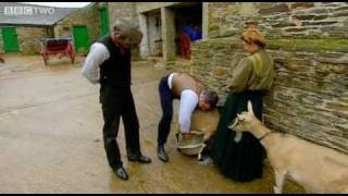Goat Milking Fail - Edwardian Farm Episode 2 - BBC Two