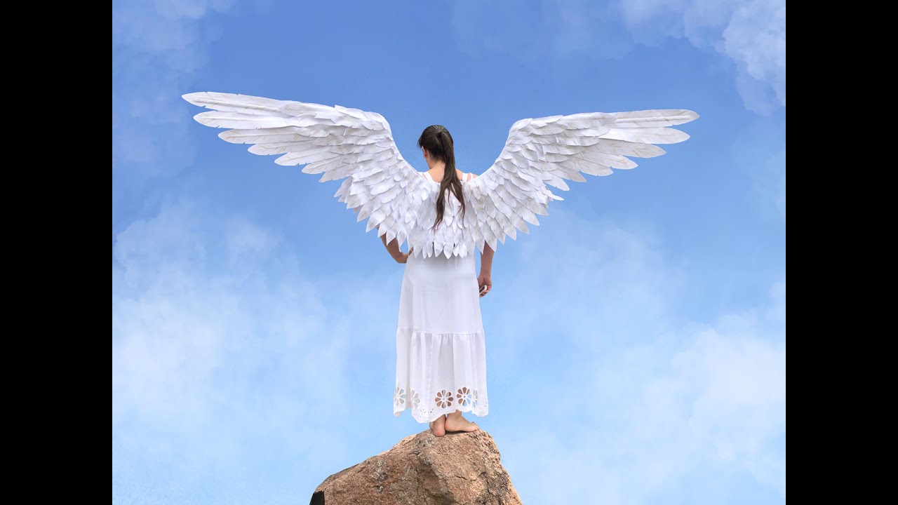 Medium 8 to 9 ft white wings