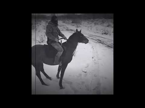 ВСАДНИКИ ЧЕЧНИ «ДИКАЯ ДИВИЗИЯ» песня под гитару. В ГОРАХ ЧЕЧНИ ЕЩЁ ГОРЯТ КОСТРЫ 🔥