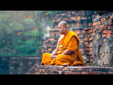 Música Zen para Meditar | Equilibrio y Paz Mental | La Mejor Música de Relajación y Meditación