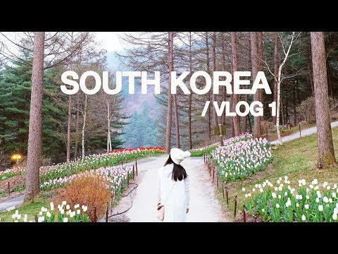 Korea Vlog - Spring in Seoul - Present Continuous + Conjunctions