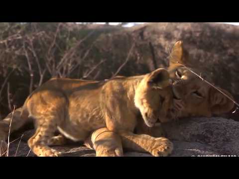 Arusha National Park (Tanzania)