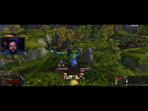 Zandalari Holy Paladin pvp leveling.