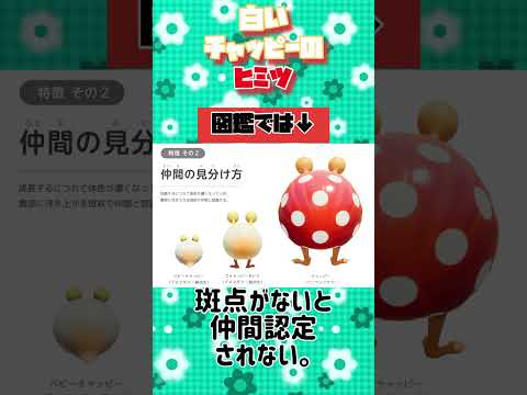【訂正に訂正】可哀想な白いチャッピー #shorts #ピクミン #チャッピー