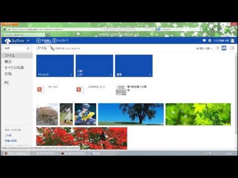 Windows Live SkyDriveについて詳しく解説