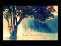 Forest Fires - Lauren Aquilina ~LYRICS~ 