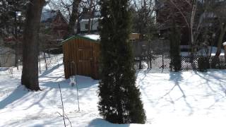 time lapse spring thaw in Montreal March 7 2012