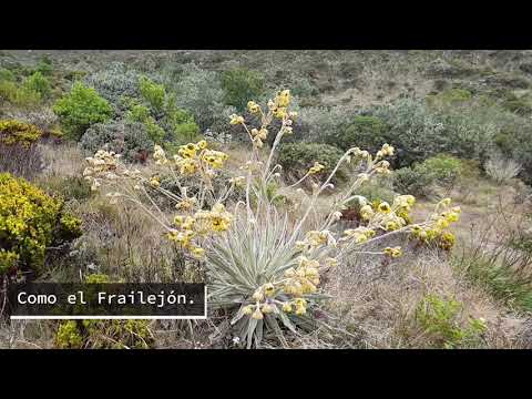 Nuevo lugar en el Páramo Sumapaz