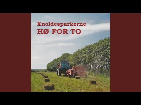 Vil du være min hjemmehjælper