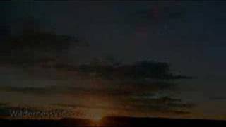 Rush Of Fools - Lose It All (With Lyrics)