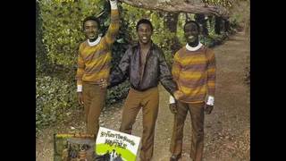 TOOTS AND THE MAYTALS - MONKEY MAN - NIGHT AND DAY