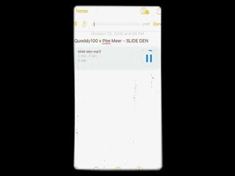 quaddy100 x Pbe Meer - SLIDE DEN