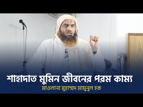 শাহাদাত মুমিন জীবনের পরম কাম্য Mamunul Haque