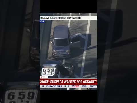 Video | Watch LAPD perform PIT maneuver on fleeing suspect