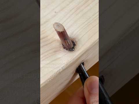 Fixing a Troublesome Knot #shorts #woodworking #diy